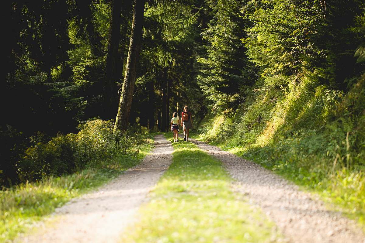 dirt road two person walking on pathway in between trees at daytime forest